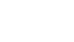 Moog